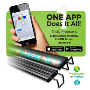 Reno WiFi LED - 1 App Does it All!